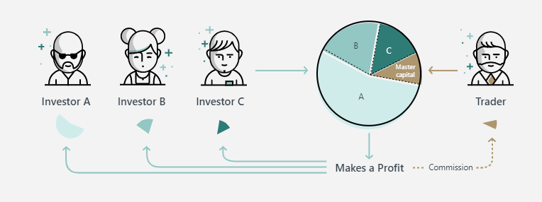 What is Exness Social Trading? How to Use It